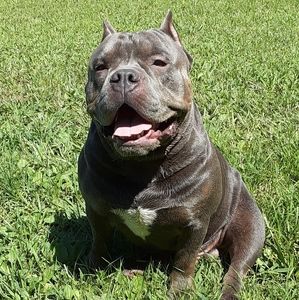 Meet your Posher, Robert